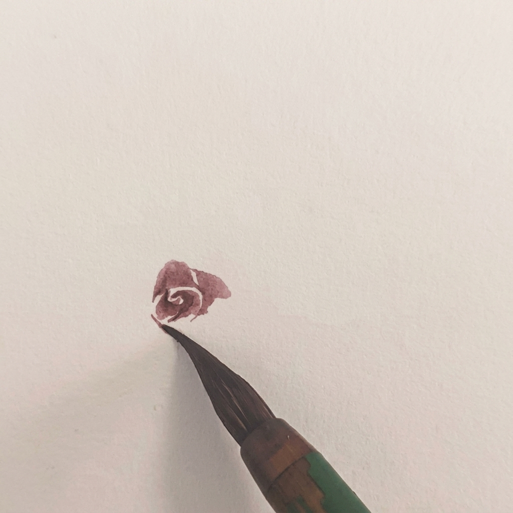수채화 장미의 왼쪽에 꽃잎 레이어가 하나 더 추가되어 꽃의 형태가 완성되어가는 모습.